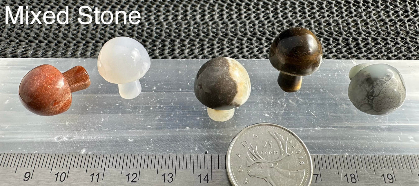 Mini Mushroom, 2cm H x 1.7cm W, 5pack