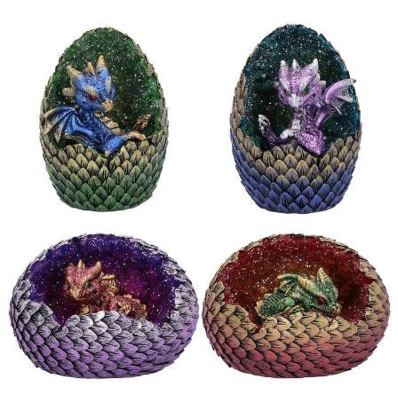 Dragon Baby in Shell, Various Colours