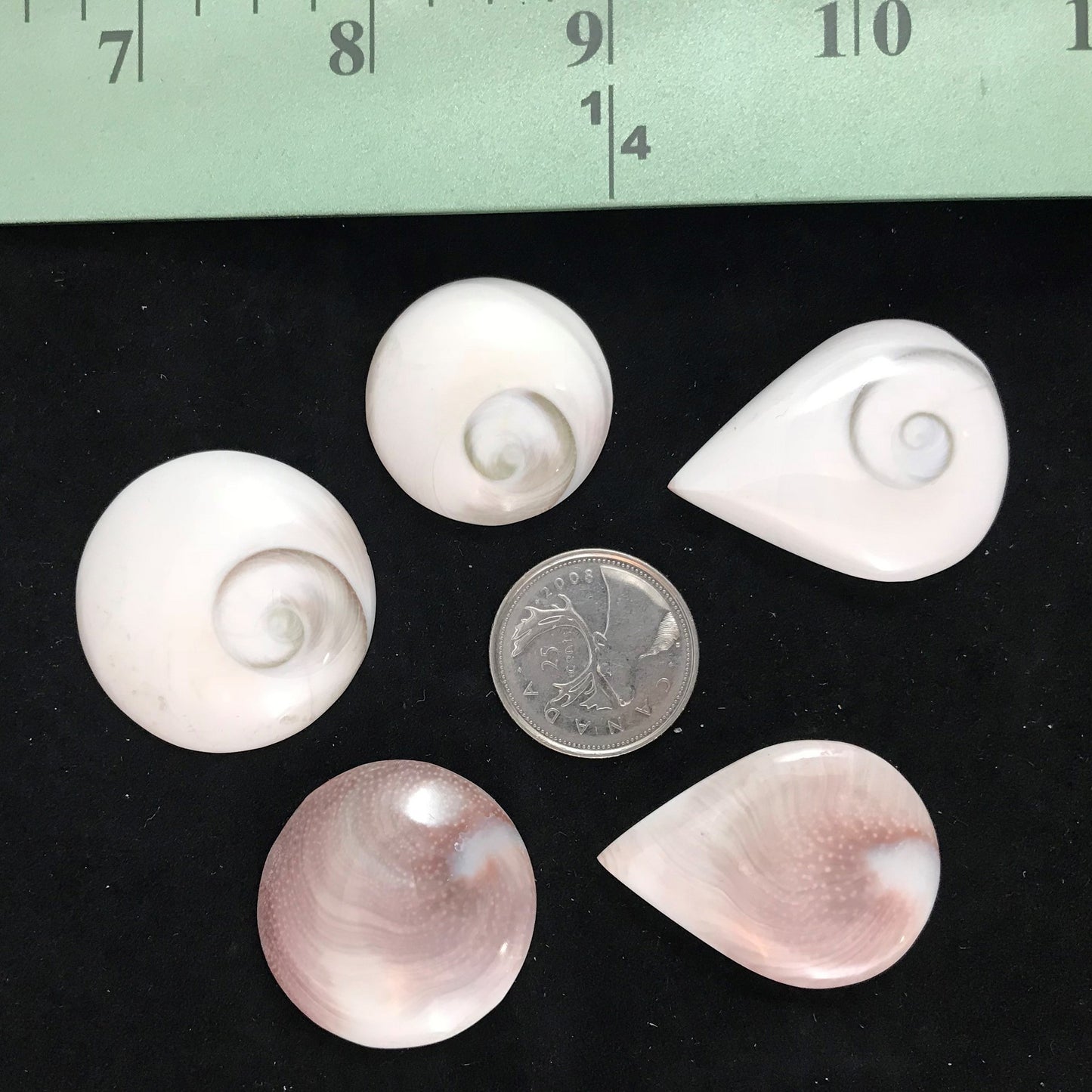 Cabochon / Stone for Wire Wrapping or Setting