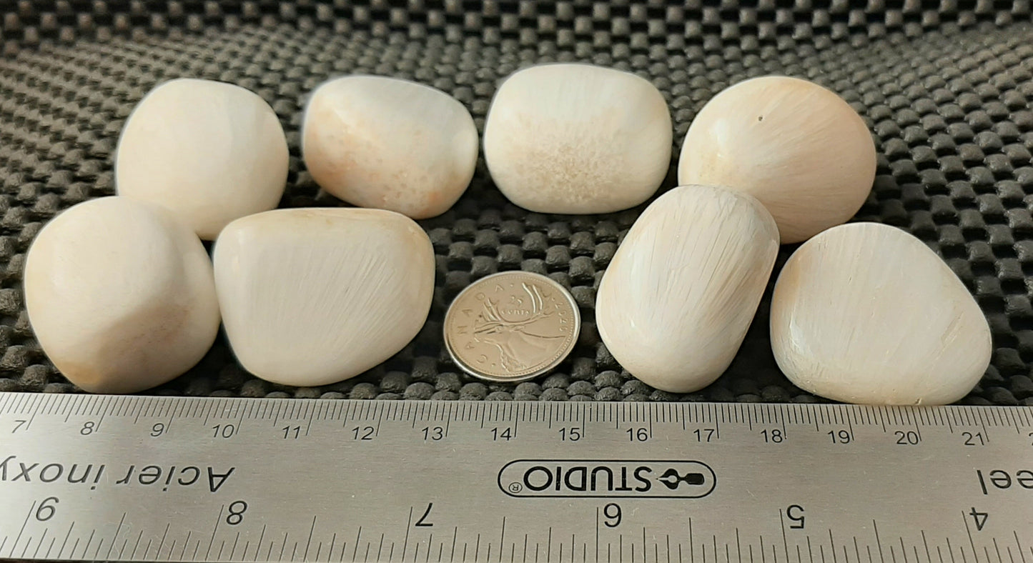 Scolecite Tumble By 250g