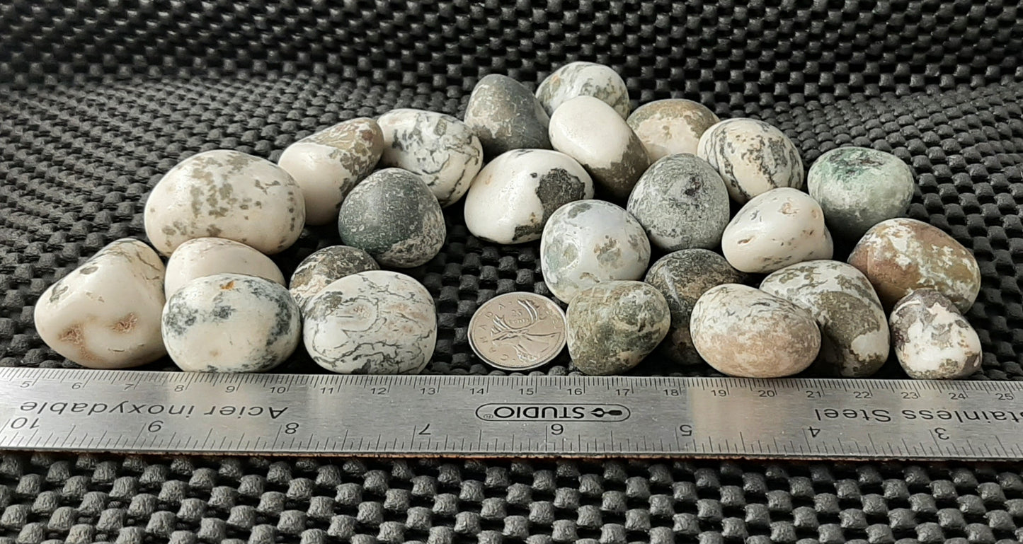 Tree Agate Tumble by 500g