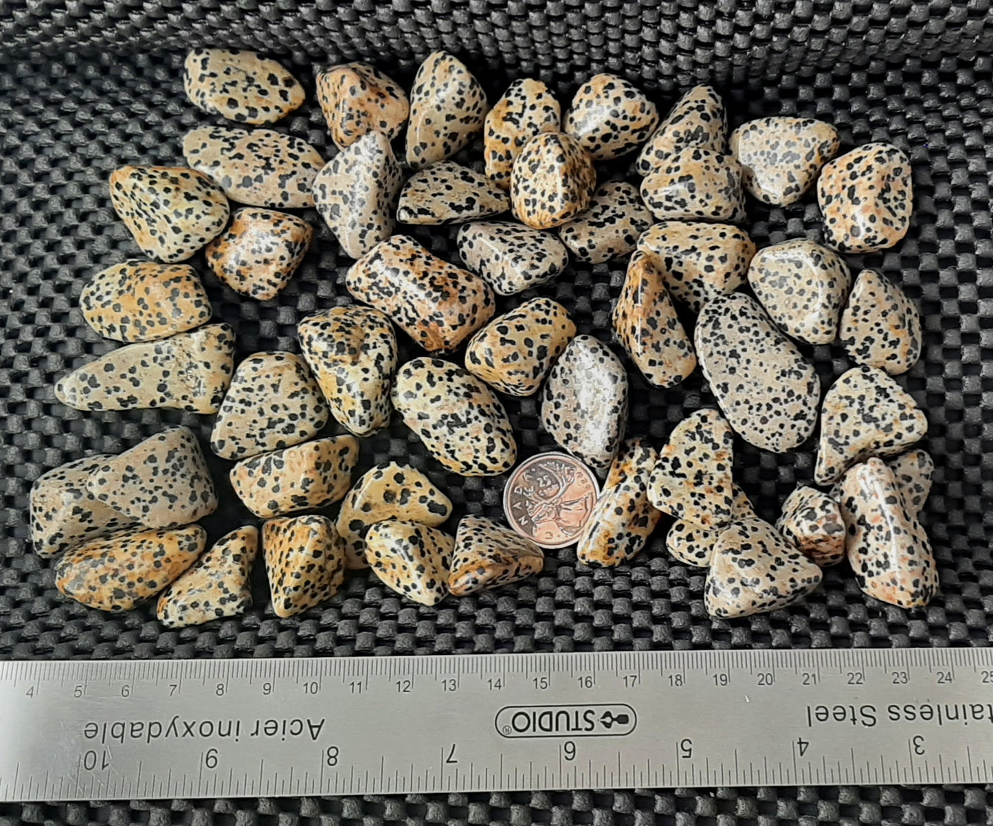 Dalmatian Jasper Tumble by 500g, Lrg. 25mm - 30mm