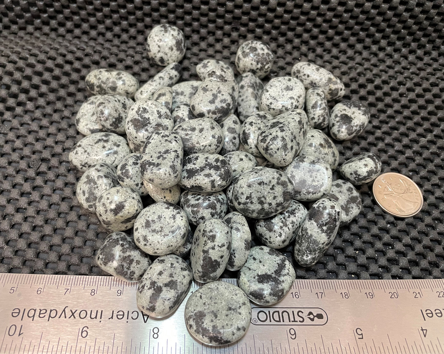 Dalmatian Jasper Tumble by 500g, Small 20mm - 25mm