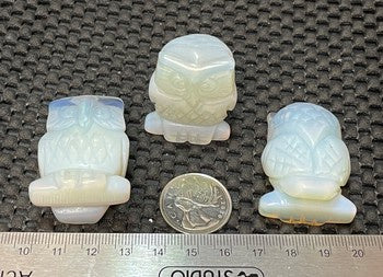 Owl, 1.5inch Carving WS