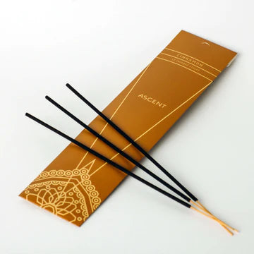 Incense, Stick, Cinnamon, Ascent, 12pk