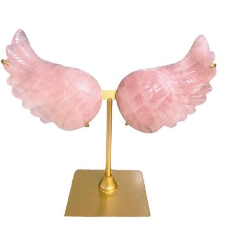 Angel or Butterfly Wing Sets with Stand