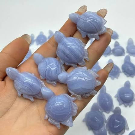 Turtle, Blue Lace Agate, Medium, 10-15g