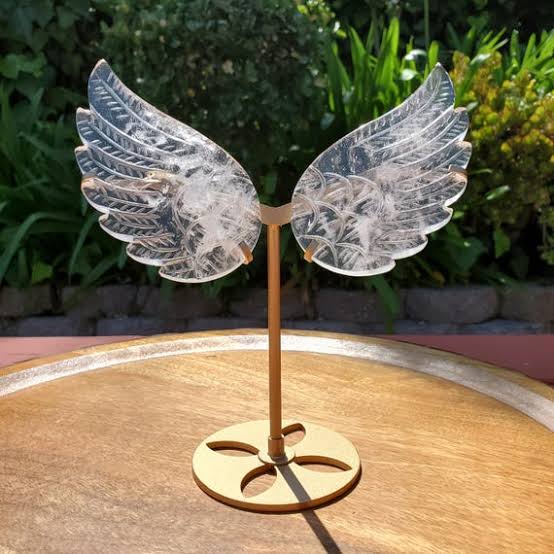 Angel or Butterfly Wing Sets with Stand