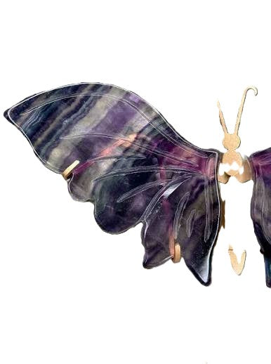 Angel or Butterfly Wing Sets with Stand